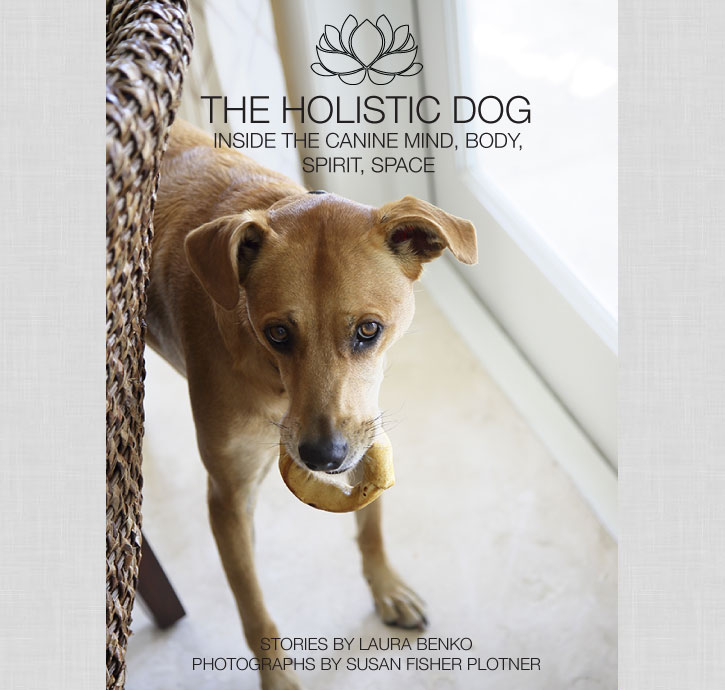 The Holistic Dog by Laura Benko
